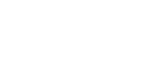 Leapmotor